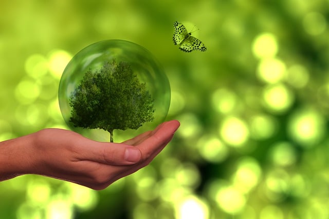 Eco-Friendly Trip